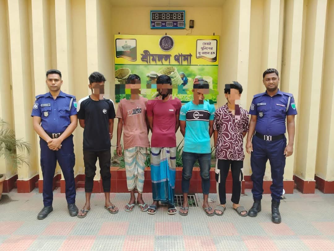 শ্রীমঙ্গলে পুলিশের সাড়াশি অভিযান: শাপলাবাগ থেকে ৫ সন্ত্রাসী গ্রেফতার