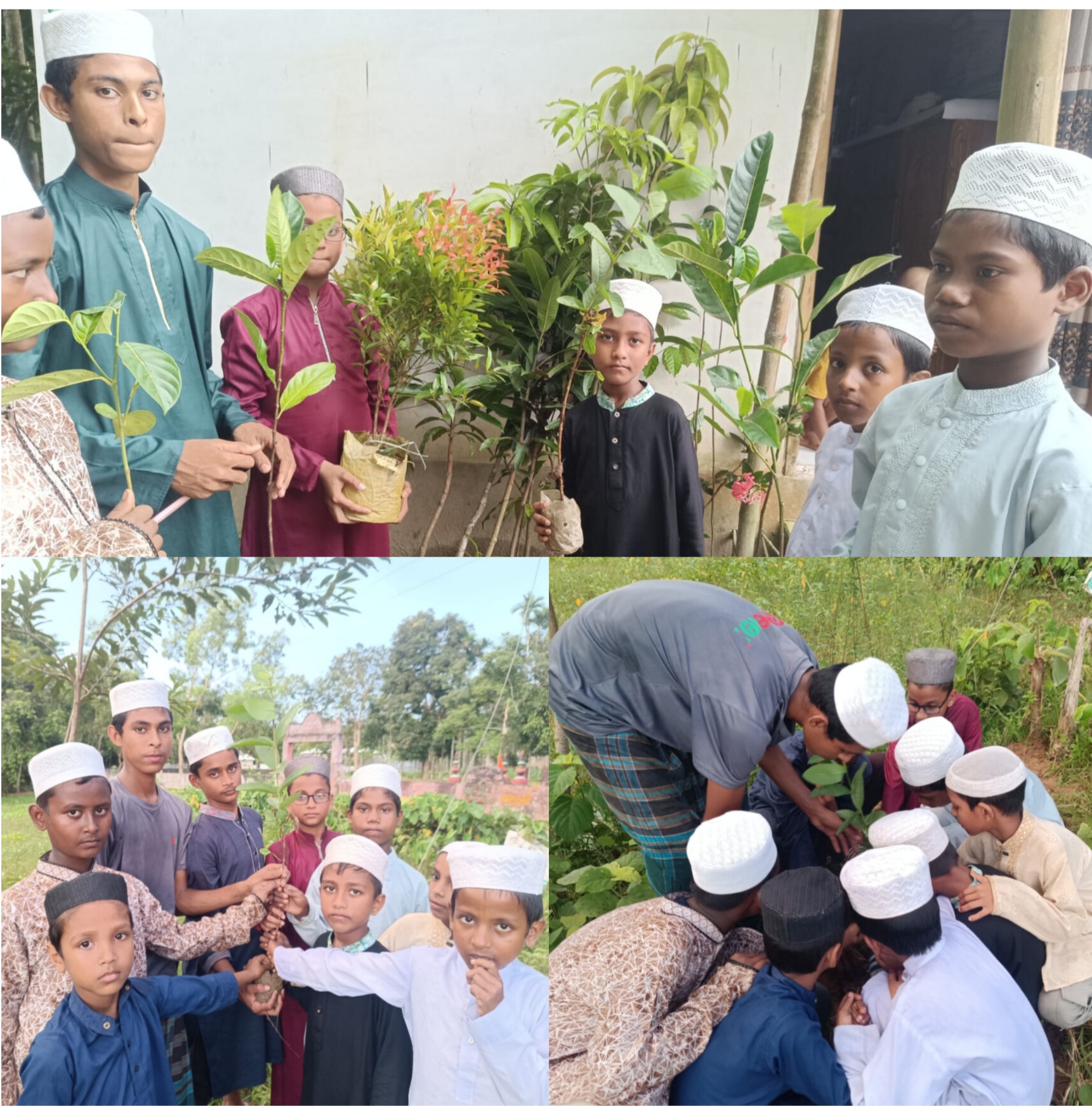 কমলগঞ্জে হযরত শাহ আজম (রহ.) দরগাহ্ ফাউন্ডেশনের ৩য় ধাপের বৃক্ষরোপণ সম্পন্ন