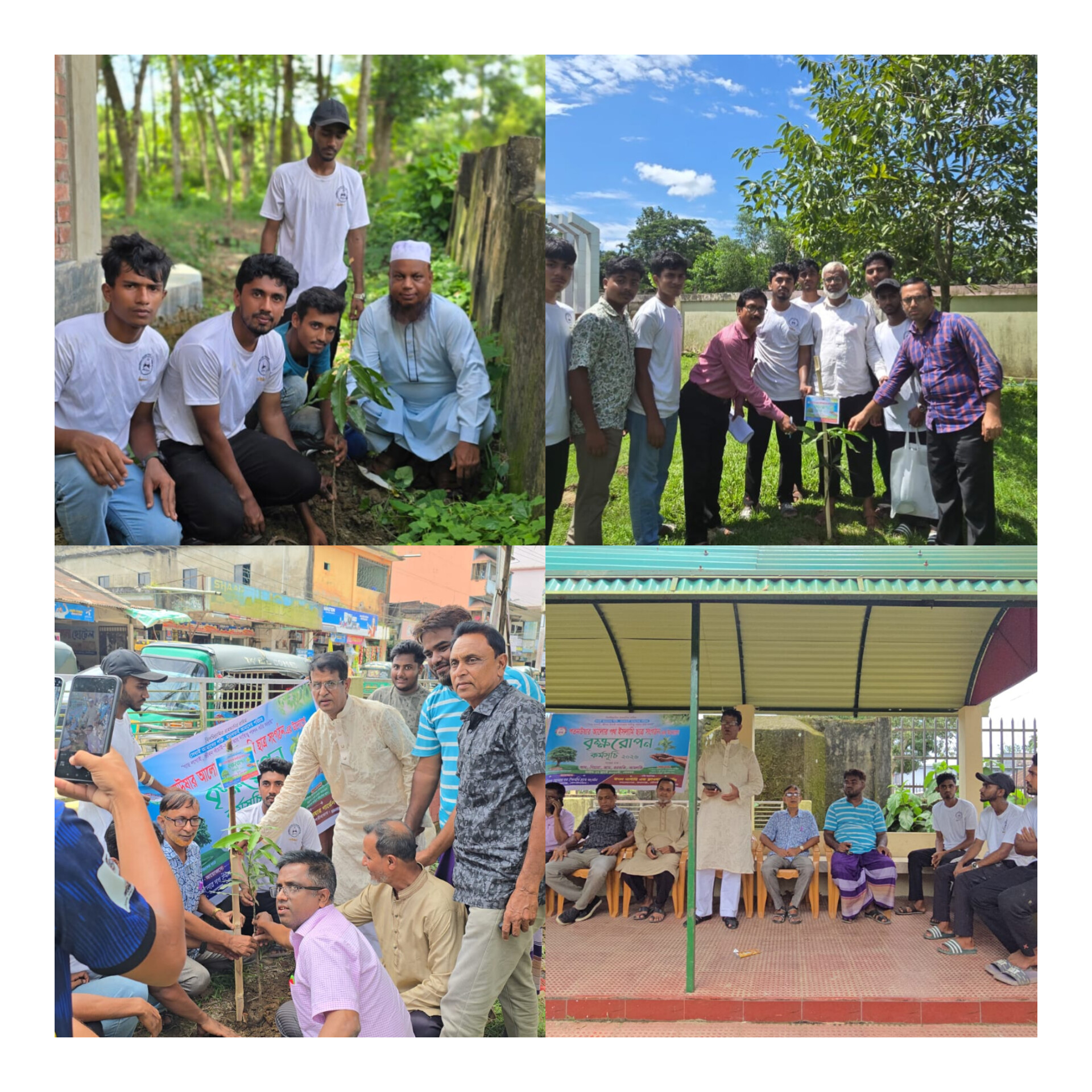 কমলগঞ্জে ‘পতনউষার আলোর পথ’-এর বৃক্ষরোপণ কর্মসূচি উদ্বোধন