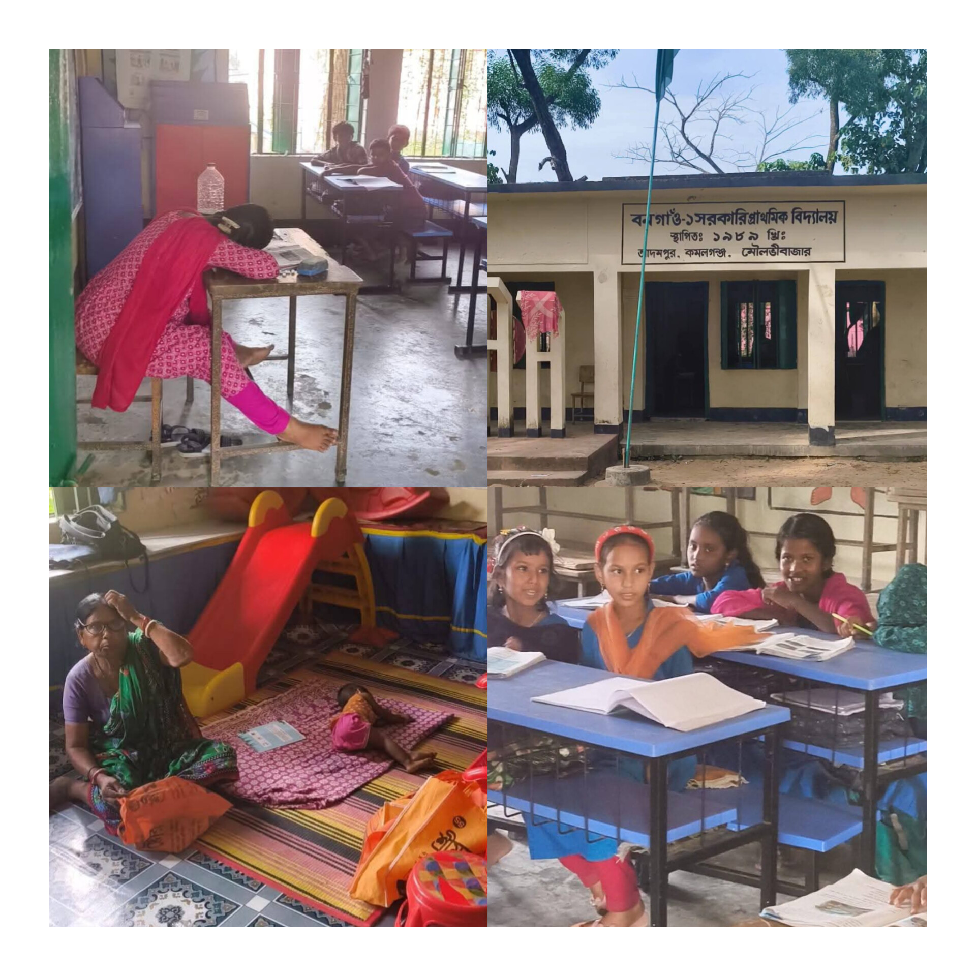 ​ক্লাসে শিক্ষিকার ঘুম, কমলগঞ্জে বিদ্যালয়জুড়ে অনিয়মের অভিযোগ